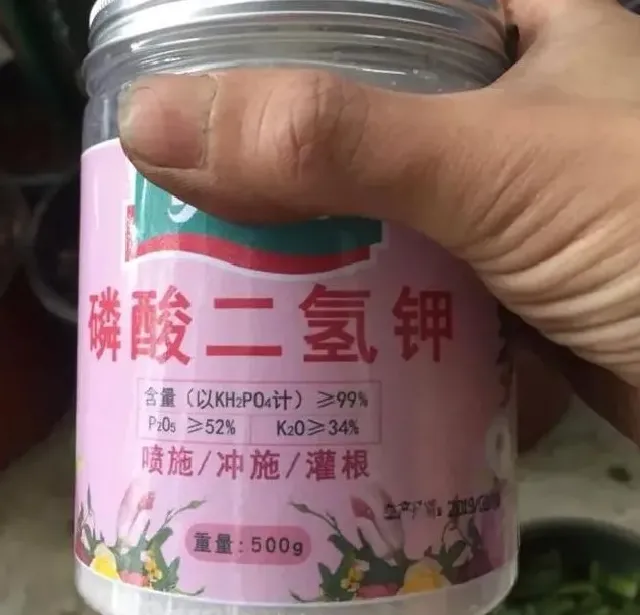 植物施肥|磷酸二氢钾能让叶子变绿吗，喷磷酸二氢钾能治黄叶吗）