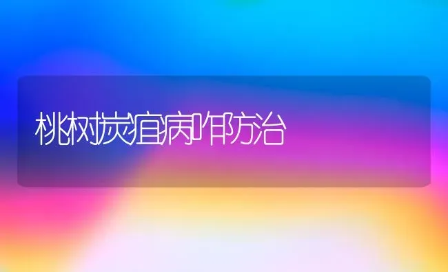 桃树炭疽病咋防治 | 瓜果种植