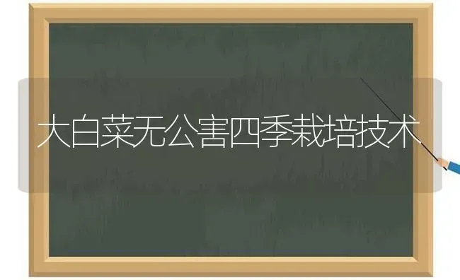 大白菜无公害四季栽培技术 | 蔬菜种植