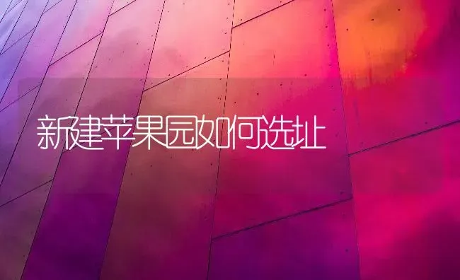 新建苹果园如何选址 | 瓜果种植