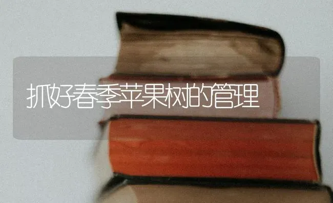 抓好春季苹果树的管理 | 瓜果种植