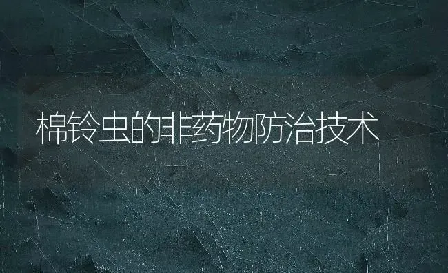 优质多抗高产小西瓜的栽培技术 | 瓜果种植