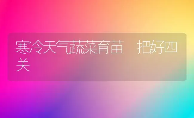 寒冷天气蔬菜育苗 把好四关 | 蔬菜种植
