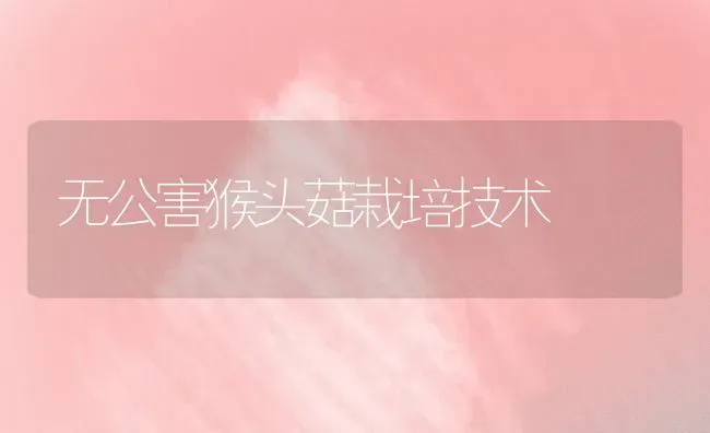 无公害猴头菇栽培技术 | 食用菌种植