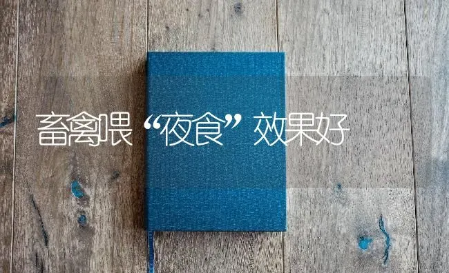 畜禽喂“夜食”效果好 | 瓜果种植