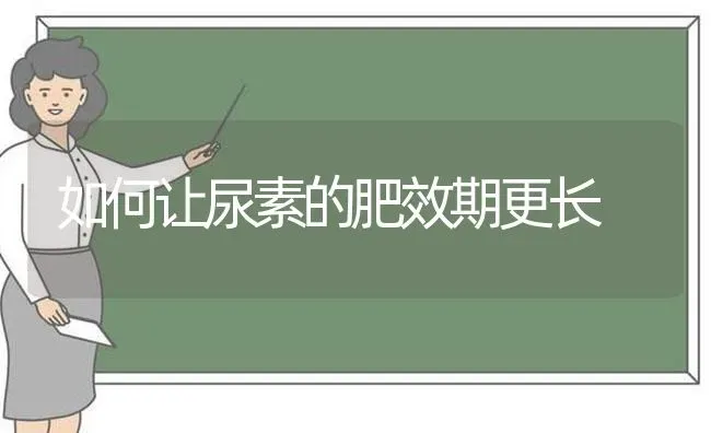 如何让尿素的肥效期更长 | 瓜果种植