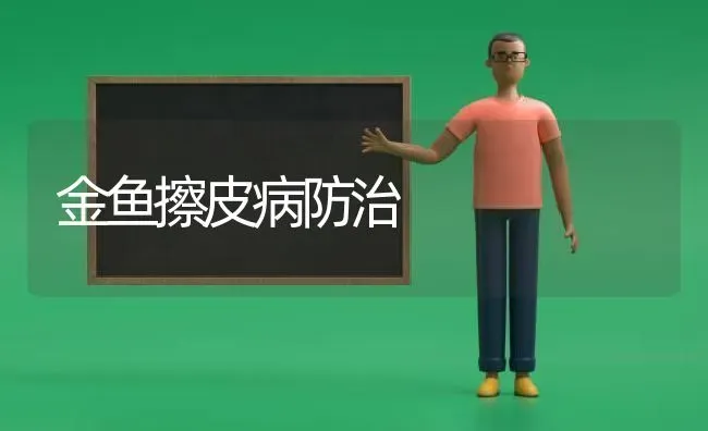 甜椒剪枝更新 二次结果 | 瓜果种植