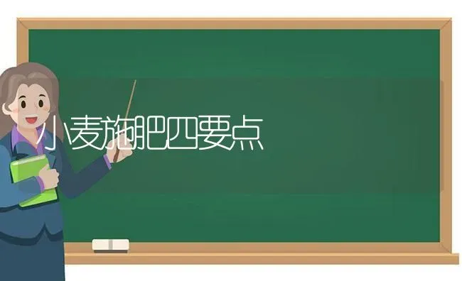 小麦施肥四要点 | 粮油作物种植