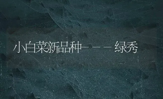小白菜新品种---绿秀 | 蔬菜种植