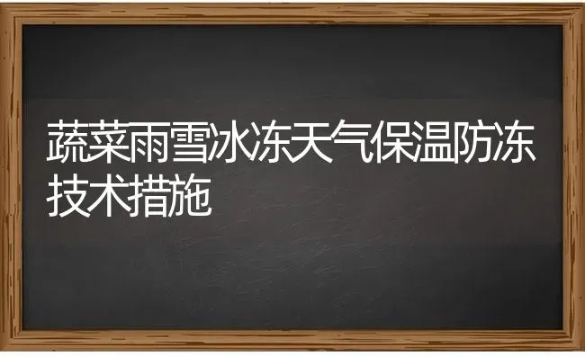 蔬菜雨雪冰冻天气保温防冻技术措施 | 蔬菜种植