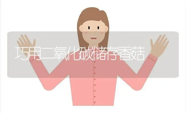 巧用二氧化碳储存香菇 | 食用菌种植