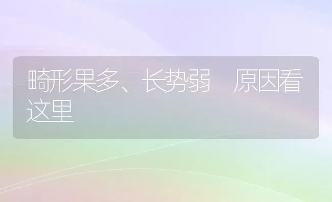 畸形果多、长势弱 原因看这里 | 瓜果种植