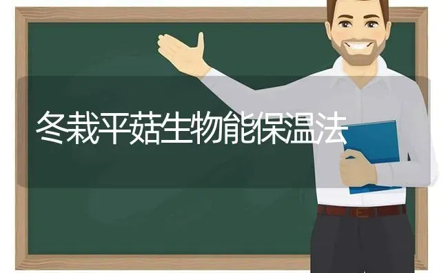 冬栽平菇生物能保温法 | 食用菌种植