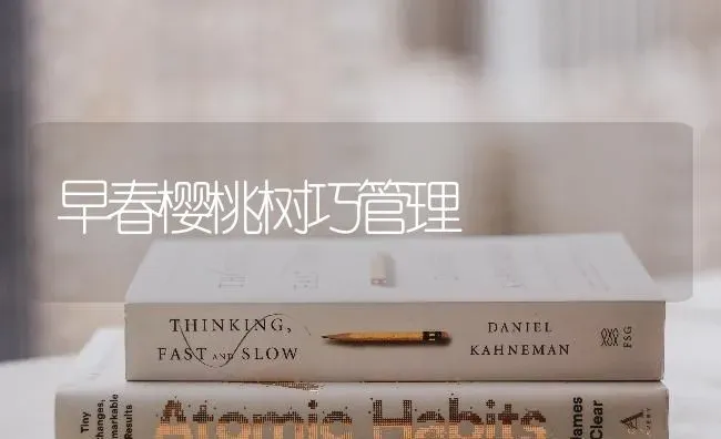 早春樱桃树巧管理 | 瓜果种植