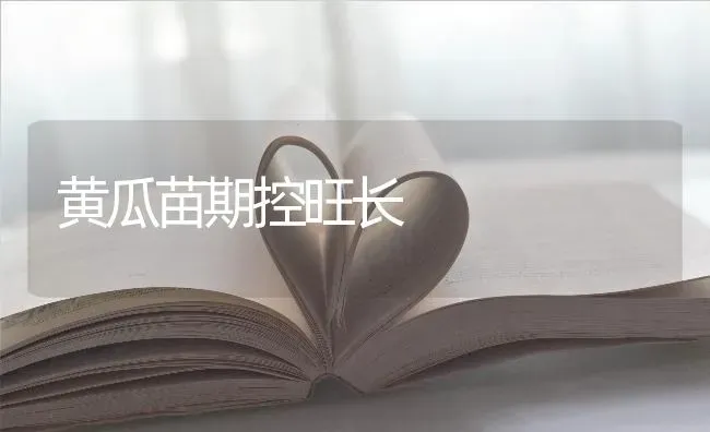 黄瓜苗期控旺长 | 蔬菜种植