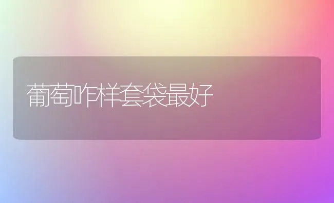 葡萄咋样套袋最好 | 瓜果种植