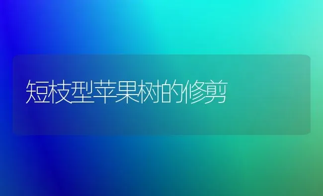 短枝型苹果树的修剪 | 瓜果种植