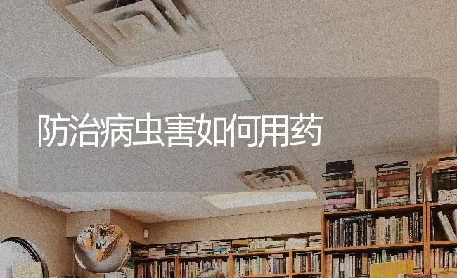 防治病虫害如何用药 | 种植病虫害防治