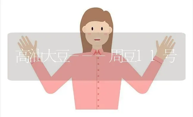 高油大豆---周豆11号 | 粮油作物种植