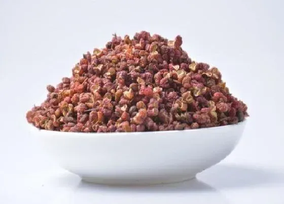 果实保存|干花椒可以冷冻保存吗 放冰箱冷藏还是冷冻好