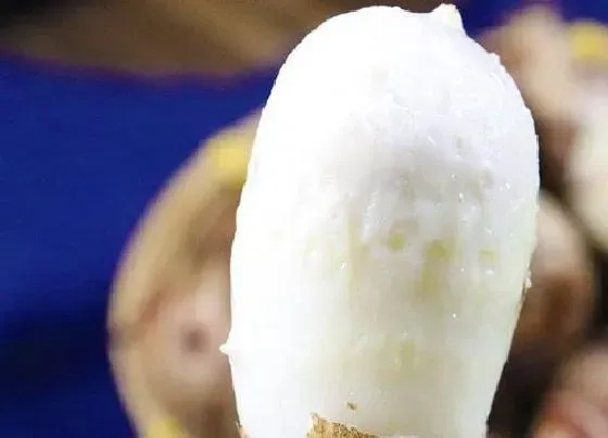 果实之最|什么品种的芋头最糯好吃 哪个品种芋头口感好