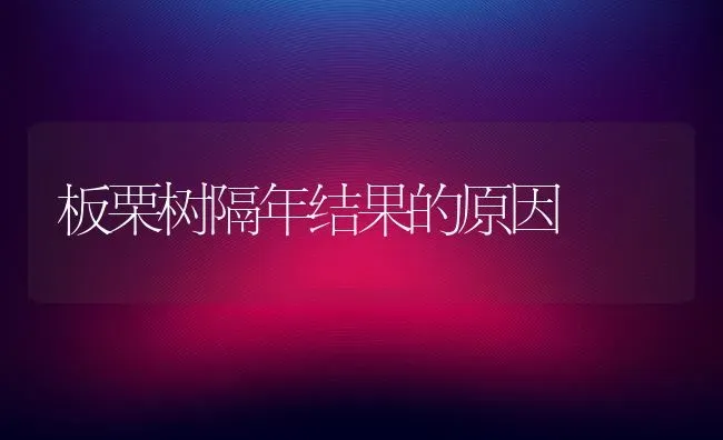 板栗树隔年结果的原因 | 瓜果种植