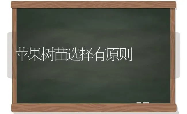 苹果树苗选择有原则 | 瓜果种植