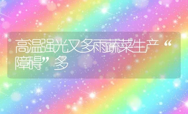 高温强光又多雨蔬菜生产“障碍”多 | 蔬菜种植