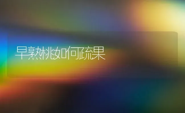 早熟桃如何疏果 | 瓜果种植