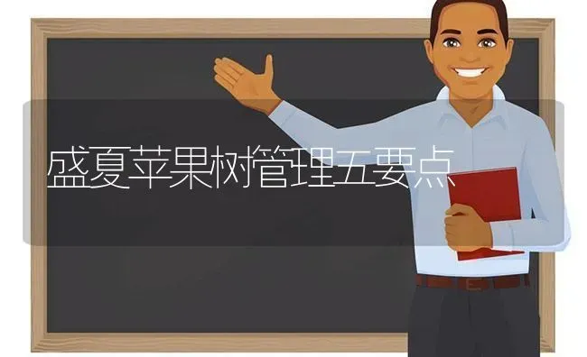 盛夏苹果树管理五要点 | 瓜果种植