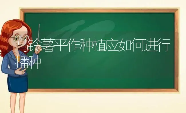 马铃薯平作种植应如何进行播种 | 植物种植百科
