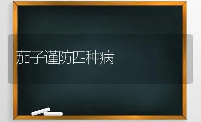 茄子谨防四种病 | 蔬菜种植