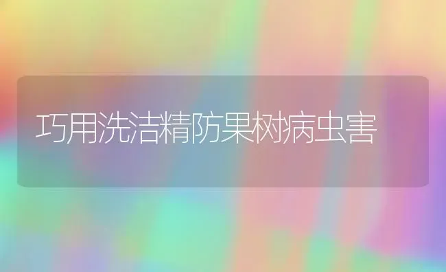 巧用洗洁精防果树病虫害 | 瓜果种植