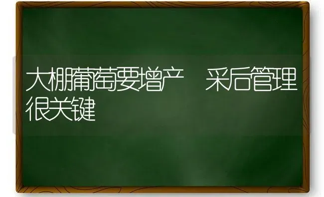 大棚葡萄要增产 采后管理很关键 | 瓜果种植