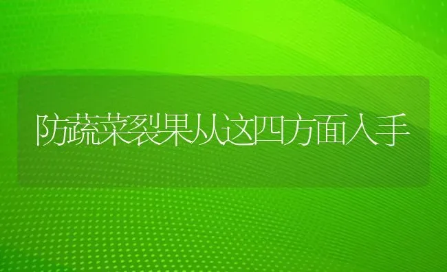 防蔬菜裂果从这四方面入手 | 蔬菜种植