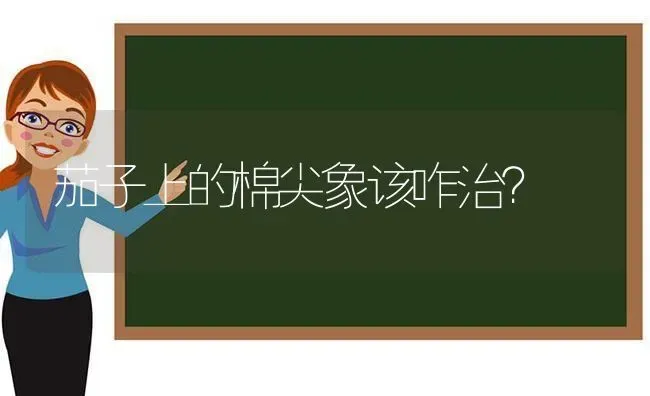 茄子上的棉尖象该咋治？ | 蔬菜种植