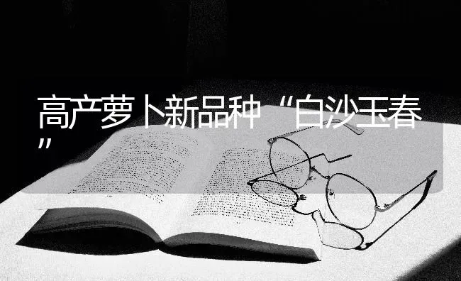 高产萝卜新品种“白沙玉春” | 蔬菜种植