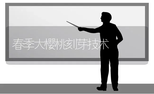春季大樱桃刻芽技术 | 瓜果种植