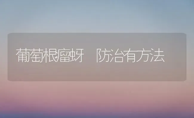 葡萄根瘤蚜 防治有方法 | 瓜果种植