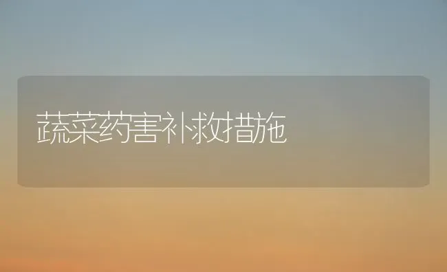 蔬菜药害补救措施 | 蔬菜种植