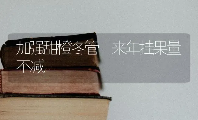 加强甜橙冬管　来年挂果量不减 | 瓜果种植