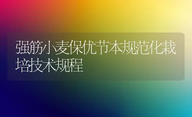 强筋小麦保优节本规范化栽培技术规程 | 粮油作物种植
