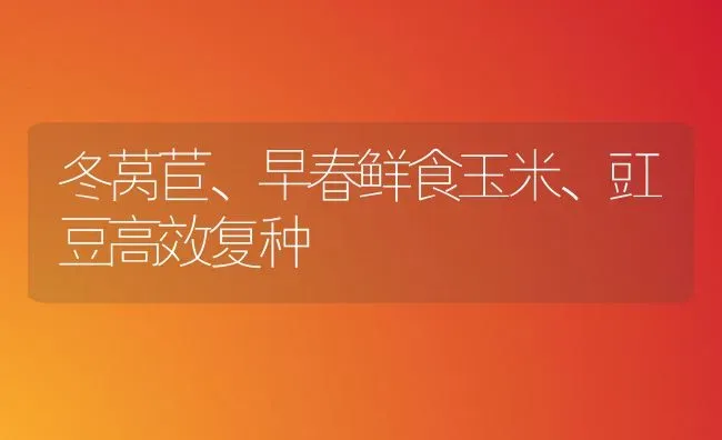 冬莴苣、早春鲜食玉米、豇豆高效复种 | 粮油作物种植