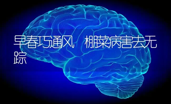 早春巧通风 棚菜病害去无踪 | 蔬菜种植