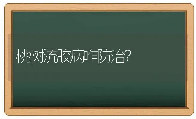 桃树流胶病咋防治？ | 瓜果种植