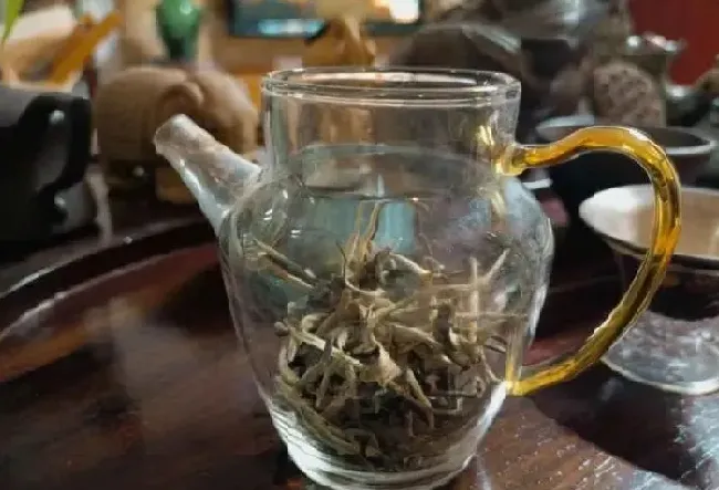 植物泡水|什么茶叶最好喝排行榜（什么品牌的茶叶好喝知名度高）