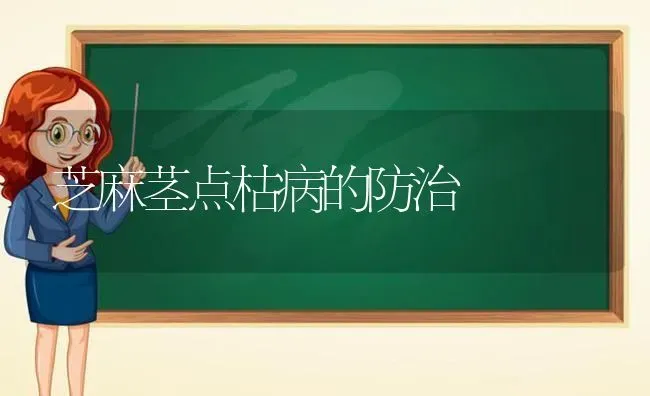 芝麻茎点枯病的防治 | 粮油作物种植