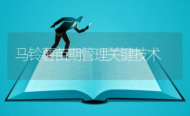 马铃薯苗期管理关键技术 | 粮油作物种植