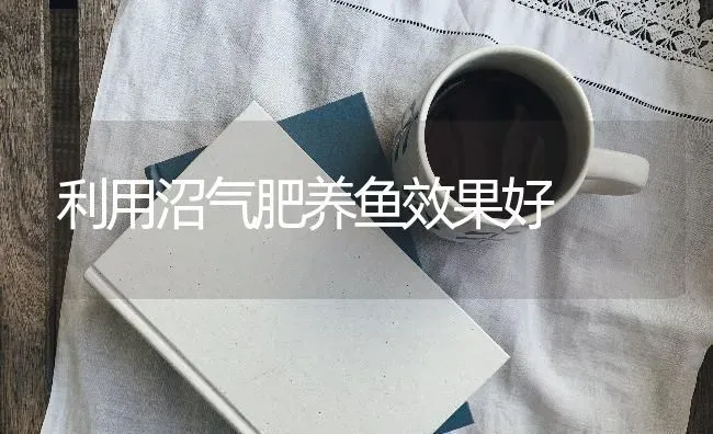利用沼气肥养鱼效果好 | 瓜果种植