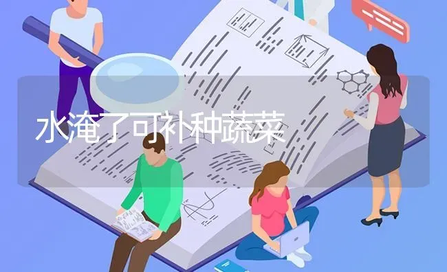 水淹了可补种蔬菜 | 蔬菜种植
